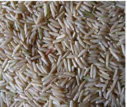 Sugandha Brown Rice Manufacturer Supplier Wholesale Exporter Importer Buyer Trader Retailer in Nagpur Maharashtra India